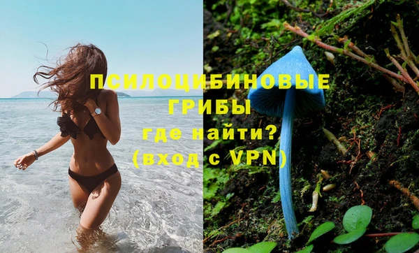 не бодяженный Армянск