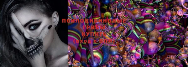 герыч Аркадак